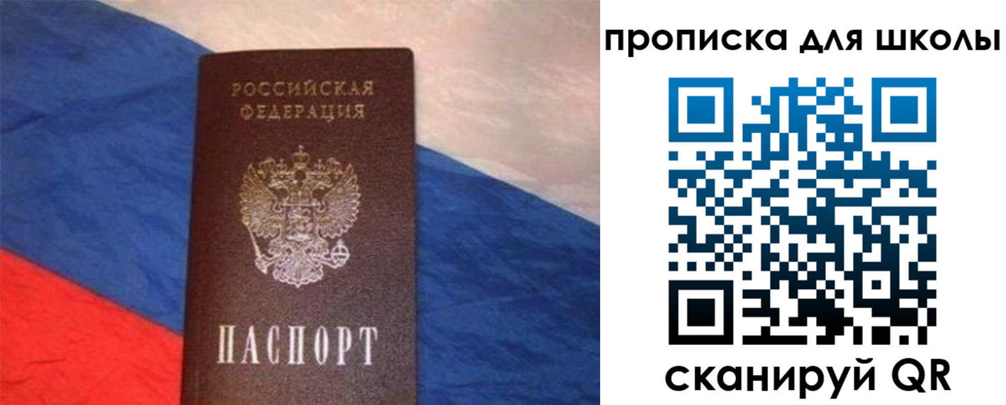 прописка поиск в Вологодской области